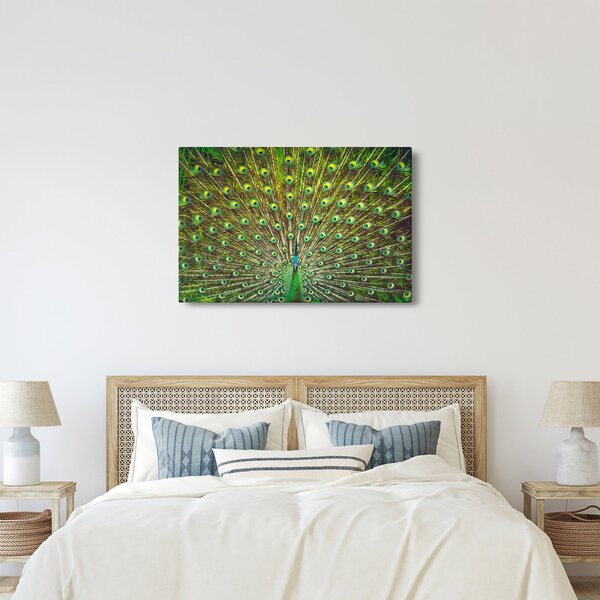 Tablou - Peacock (90x60 cm)
