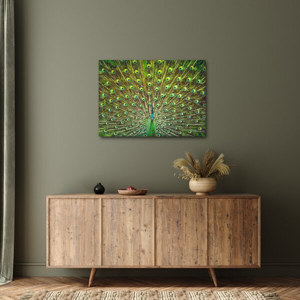 Tablou - Peacock (70x50 cm)