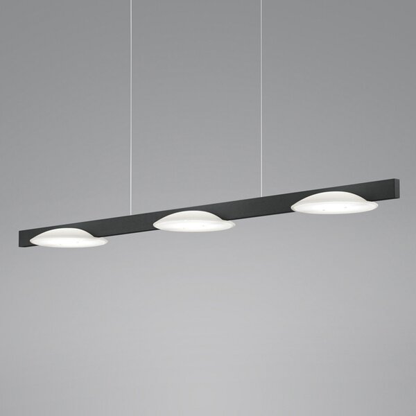 Helestra Pole lampă suspendată LED 3 becuri negru, reglabil, Negru, Camera de zi / sufragerie, Metal, Modern
