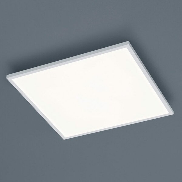 Helestra Rack LED plafonieră dimabil unghiular alb, reglabil, Hol, Metal, Modern