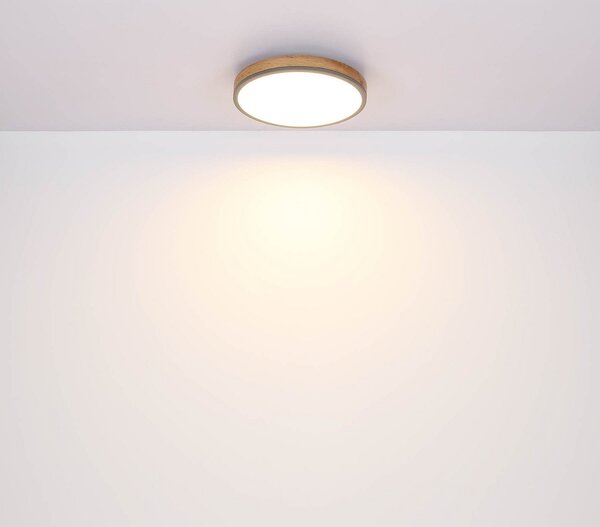 Globo Plafonieră LED Doro, Ø 60 cm, grafit închis/lemn, lemn, CCT, reglabil, Lemn, Camera de zi / sufragerie, Lemn, Modern