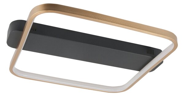 HighLight Plafonieră cu LED Ascona, negru/auriu, 28 W, reglabil, Negru, Camera de zi / sufragerie, Metal, Modern