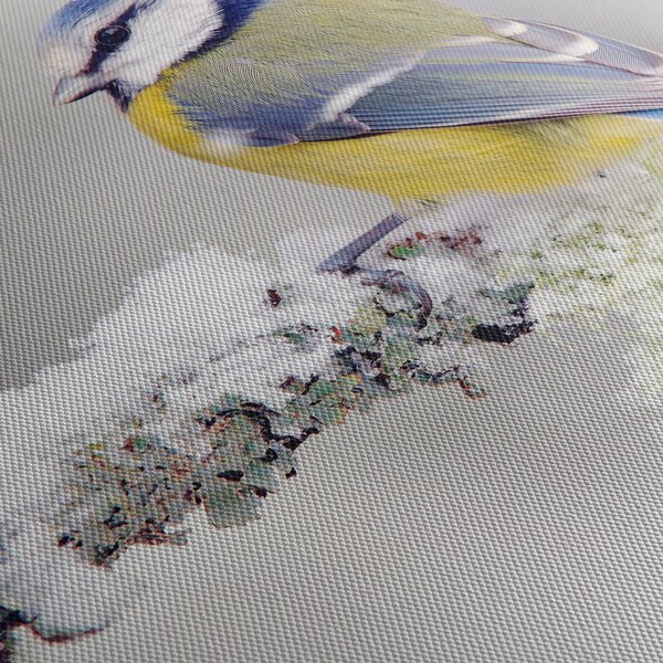 Tablou - Tit albastru în pădure (150x105 cm)