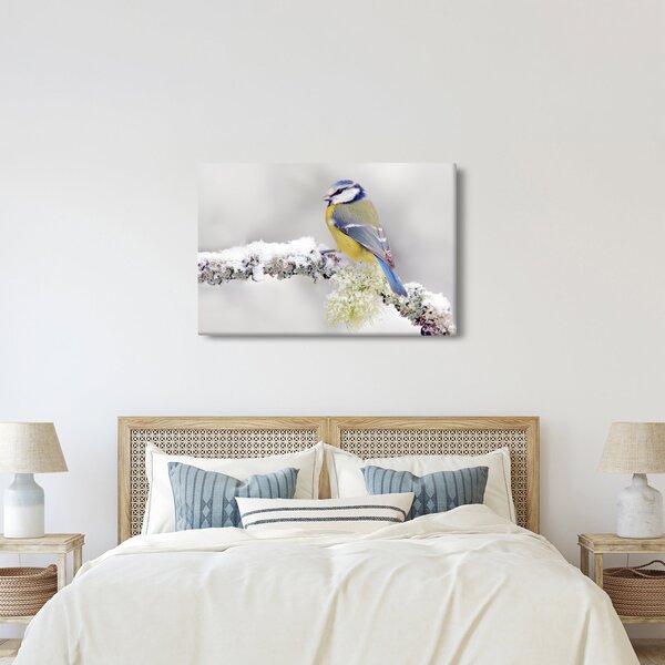 Tablou - Tit albastru în pădure (90x60 cm)