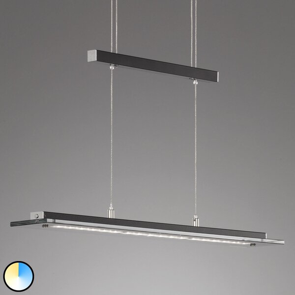 FISCHER & HONSEL Lampă susp. LED Tenso TW cu dimmer, negru 88cm, reglabil, Negru, Camera de zi / sufragerie, Metal, Modern