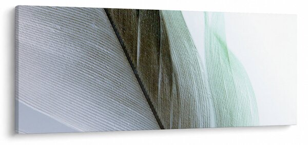 Tablou - Pene, macro (120x50 cm)