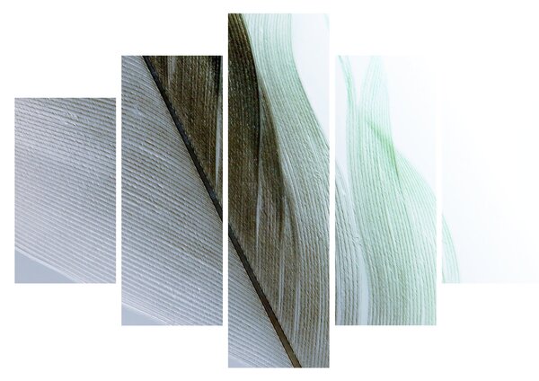 Tablou - Pene, macro (150x105 cm)