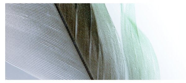 Tablou - Pene, macro (120x50 cm)