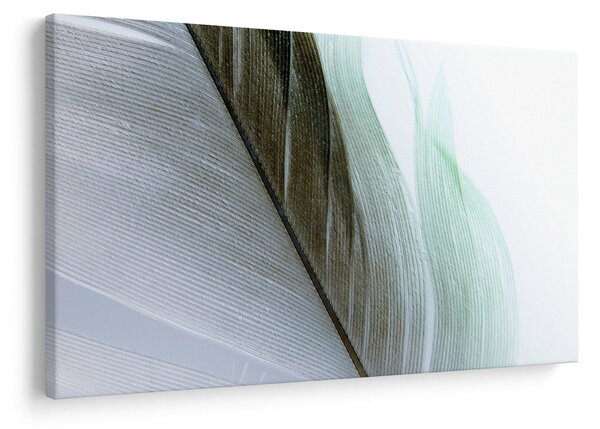 Tablou - Pene, macro (90x60 cm)