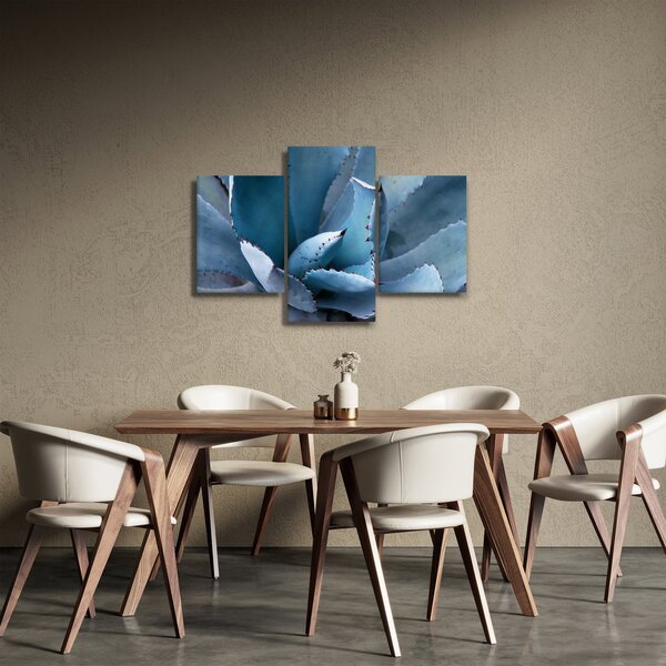 Tablou - Agave (90x60 cm)