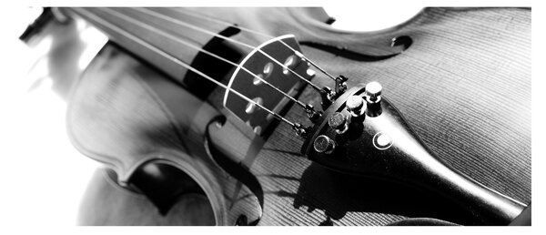 Tablou - Vioară (120x50 cm)