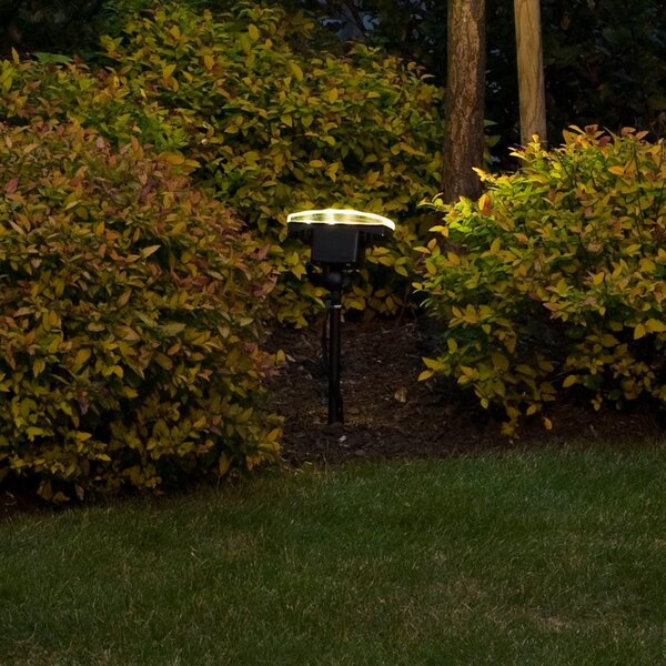 Konstsmide Spot de exterior cu fascicul larg LED Amalfi, Negru, Metal, Modern