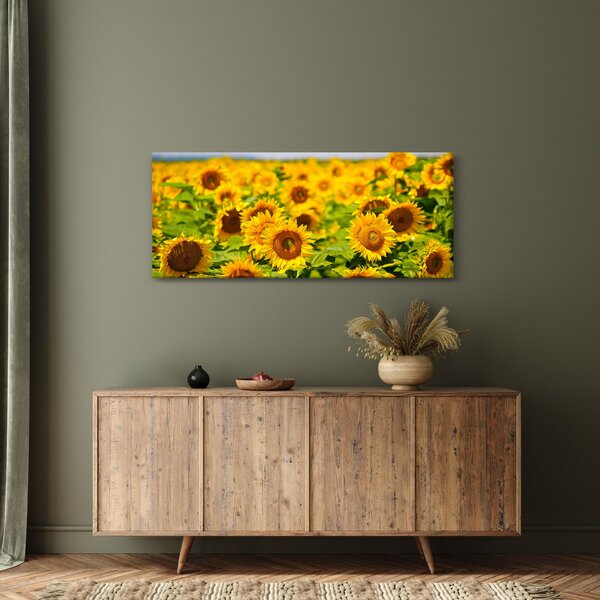 Tablou - Floarea-soarelui (120x50 cm)