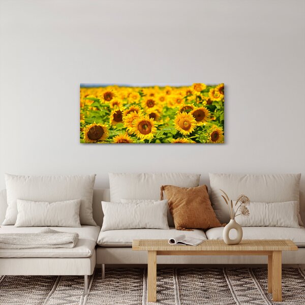 Tablou - Floarea-soarelui (120x50 cm)