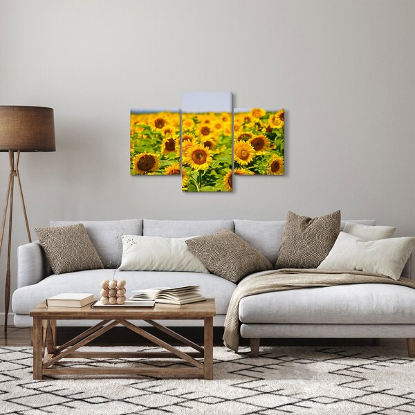 Tablou - Floarea-soarelui (90x60 cm)