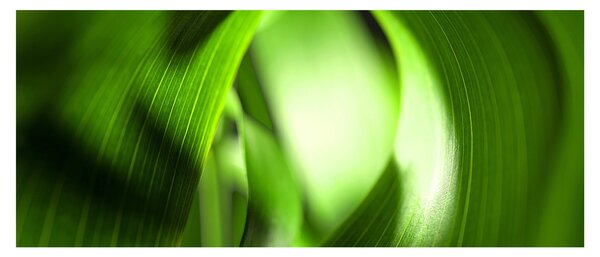 Tablou - Un fir de iarbă (120x50 cm)