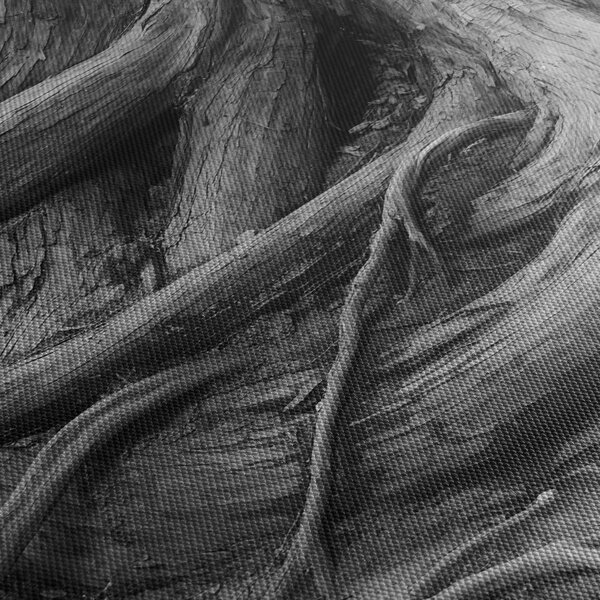 Tablou - Rădăcinile copacului (120x50 cm)