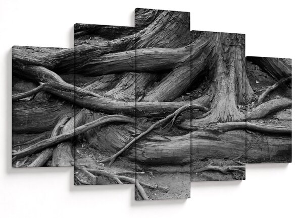 Tablou - Rădăcinile copacului (150x105 cm)
