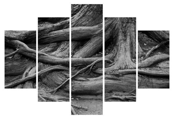 Tablou - Rădăcinile copacului (150x105 cm)
