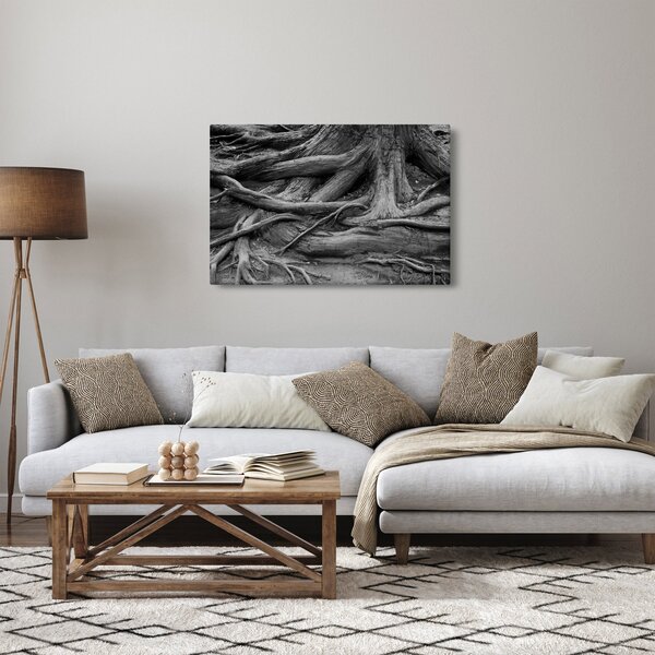 Tablou - Rădăcinile copacului (90x60 cm)