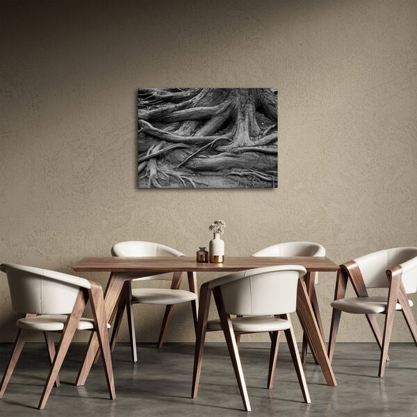 Tablou - Rădăcinile copacului (70x50 cm)