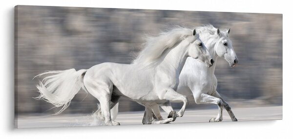 Tablou - Cai albi în timpul iernii (120x50 cm)