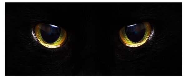 Tablou - Ochi de pisică (120x50 cm)