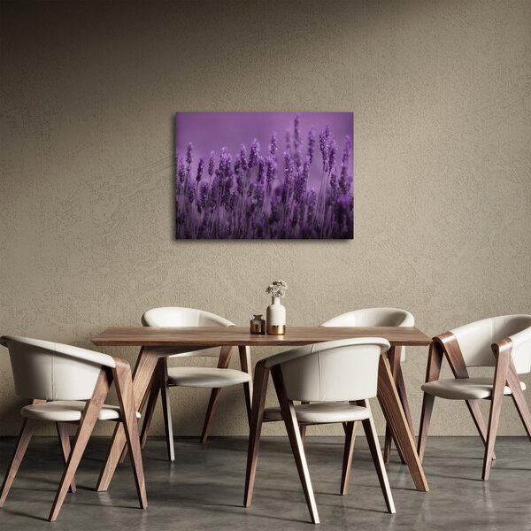 Tablou - Lavanda (70x50 cm)
