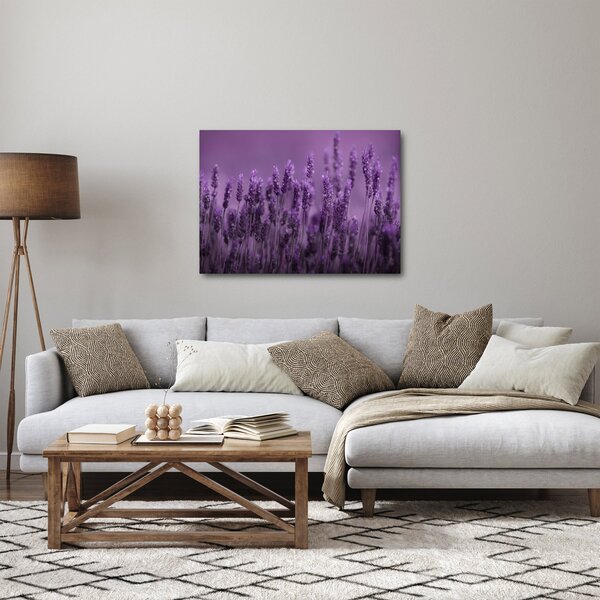 Tablou - Lavanda (70x50 cm)