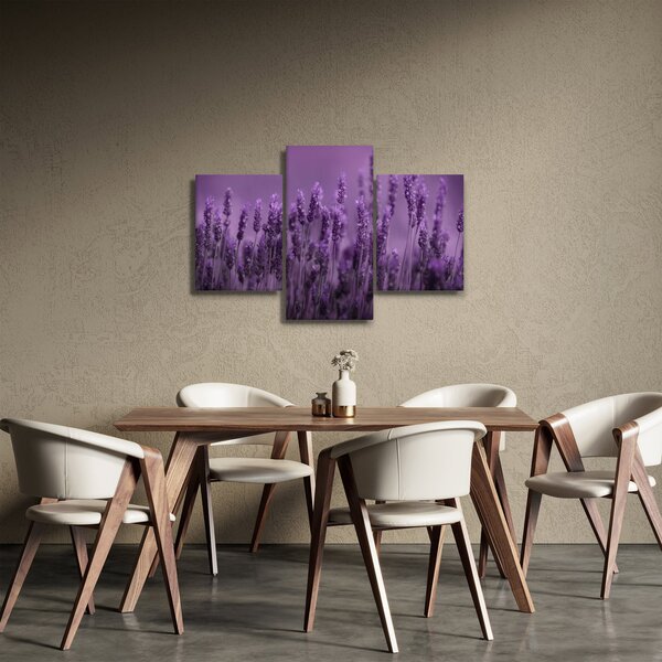 Tablou - Lavanda (90x60 cm)