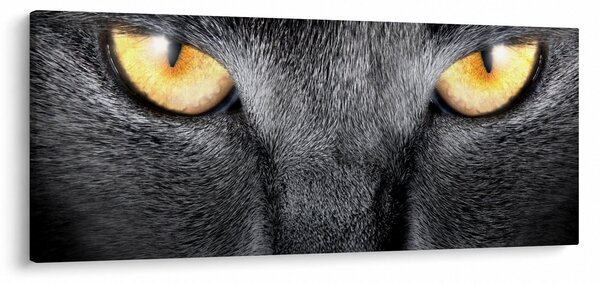 Tablou - Close up portret de o pisică (120x50 cm)