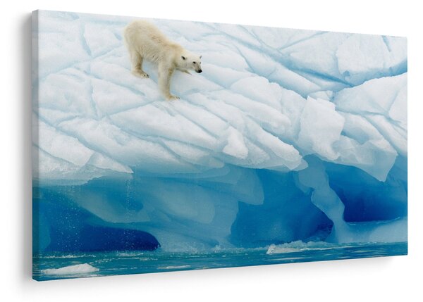 Tablou - Ursul polar (90x60 cm)