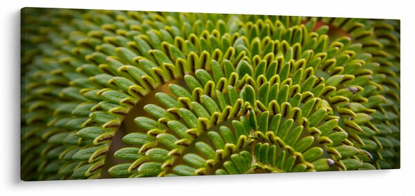 Tablou - Fern (120x50 cm)