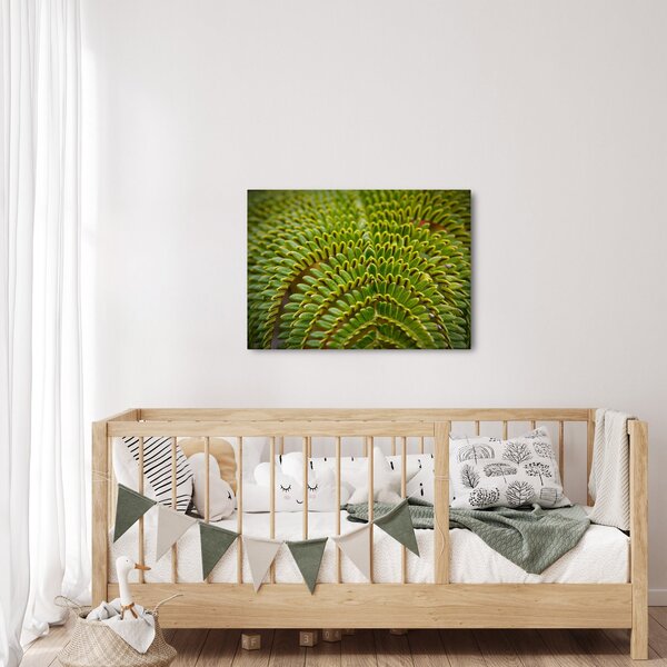 Tablou - Fern (70x50 cm)