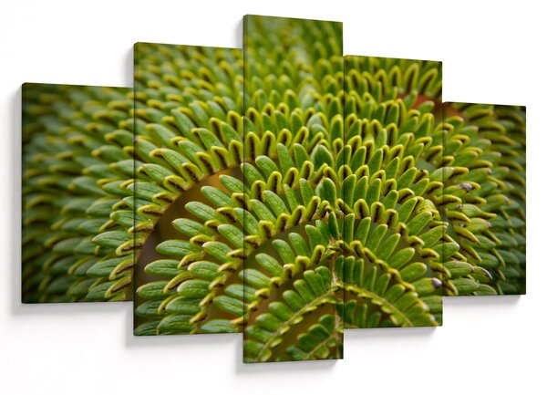 Tablou - Fern (150x105 cm)