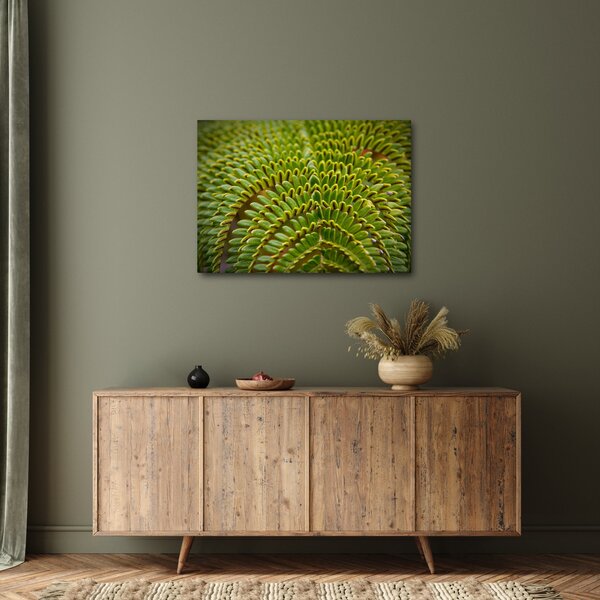 Tablou - Fern (70x50 cm)