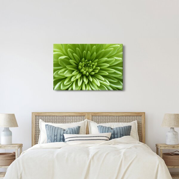 Tablou - Imagine macro a unei plante (90x60 cm)