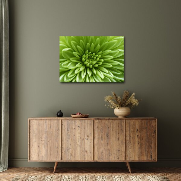 Tablou - Imagine macro a unei plante (70x50 cm)
