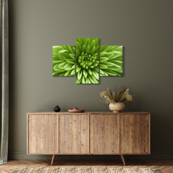 Tablou - Imagine macro a unei plante (90x60 cm)