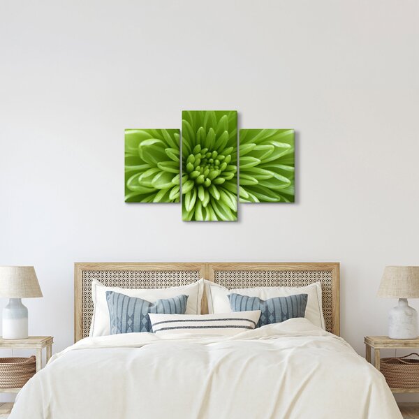 Tablou - Imagine macro a unei plante (90x60 cm)