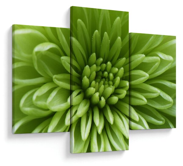 Tablou - Imagine macro a unei plante (90x60 cm)