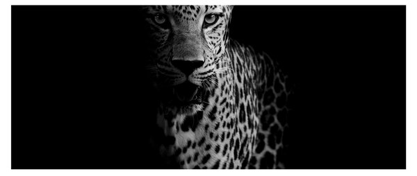 Tablou - Portret de leopard (120x50 cm)