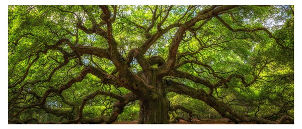 Tablou - Copac verde (120x50 cm)