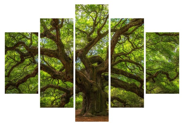 Tablou - Copac verde (150x105 cm)