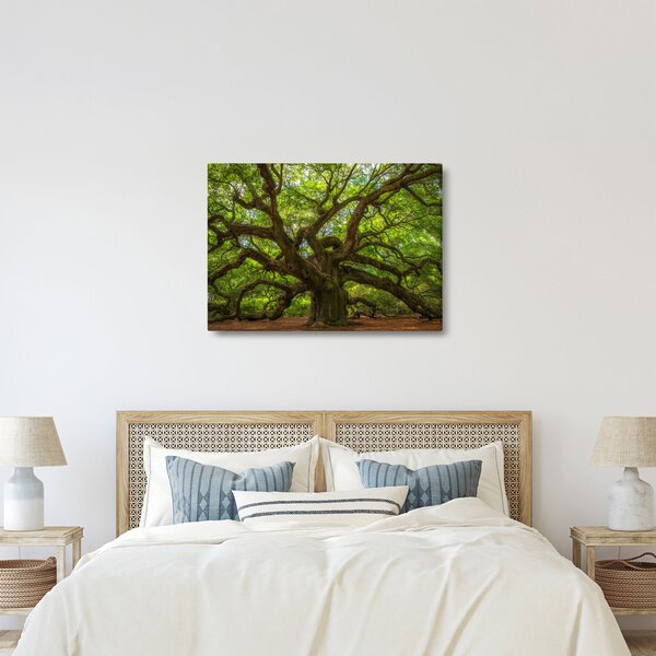 Tablou - Copac verde (70x50 cm)
