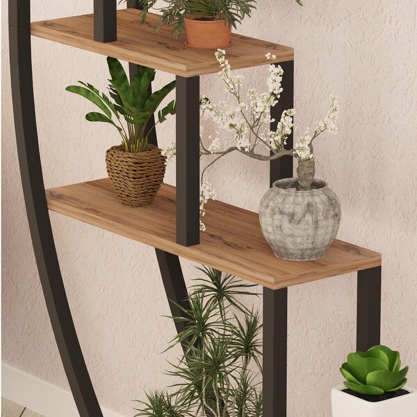 Raft Gardenia (Pin atlantic + Negru). 1089699