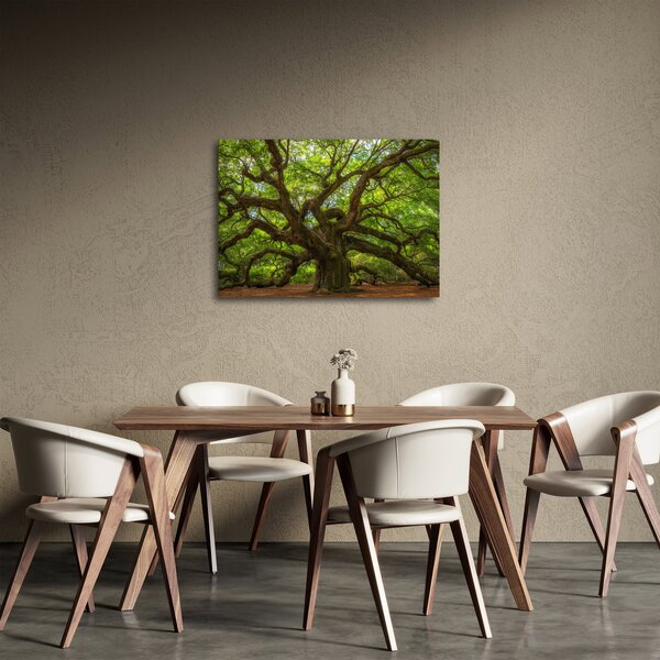 Tablou - Copac verde (70x50 cm)