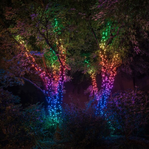 Twinkly Twinkly RGB ghirlandă luminoasă, negru, 250 lumini 20m, reglabil, Negru, Plastic