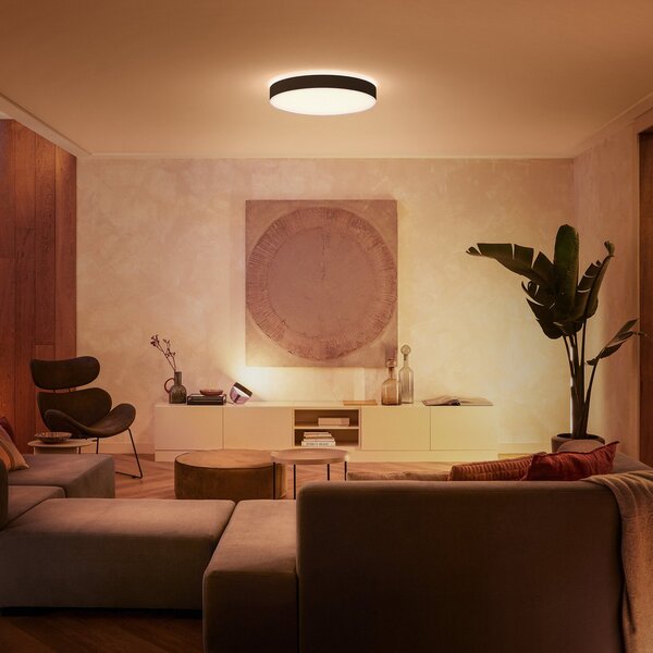 Plafoniere Philips Hue, Philips Hue, reglabil, Negru, Camera de zi, Metal, Modern