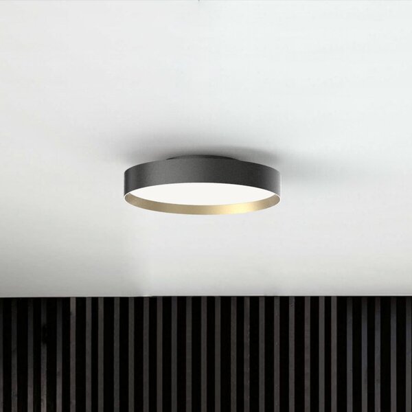LOOM DESIGN Plafonieră LED Lucia negru/color auriu Ø 35 cm, reglabil, Negru, Camera de zi / sufragerie, Metal, Modern